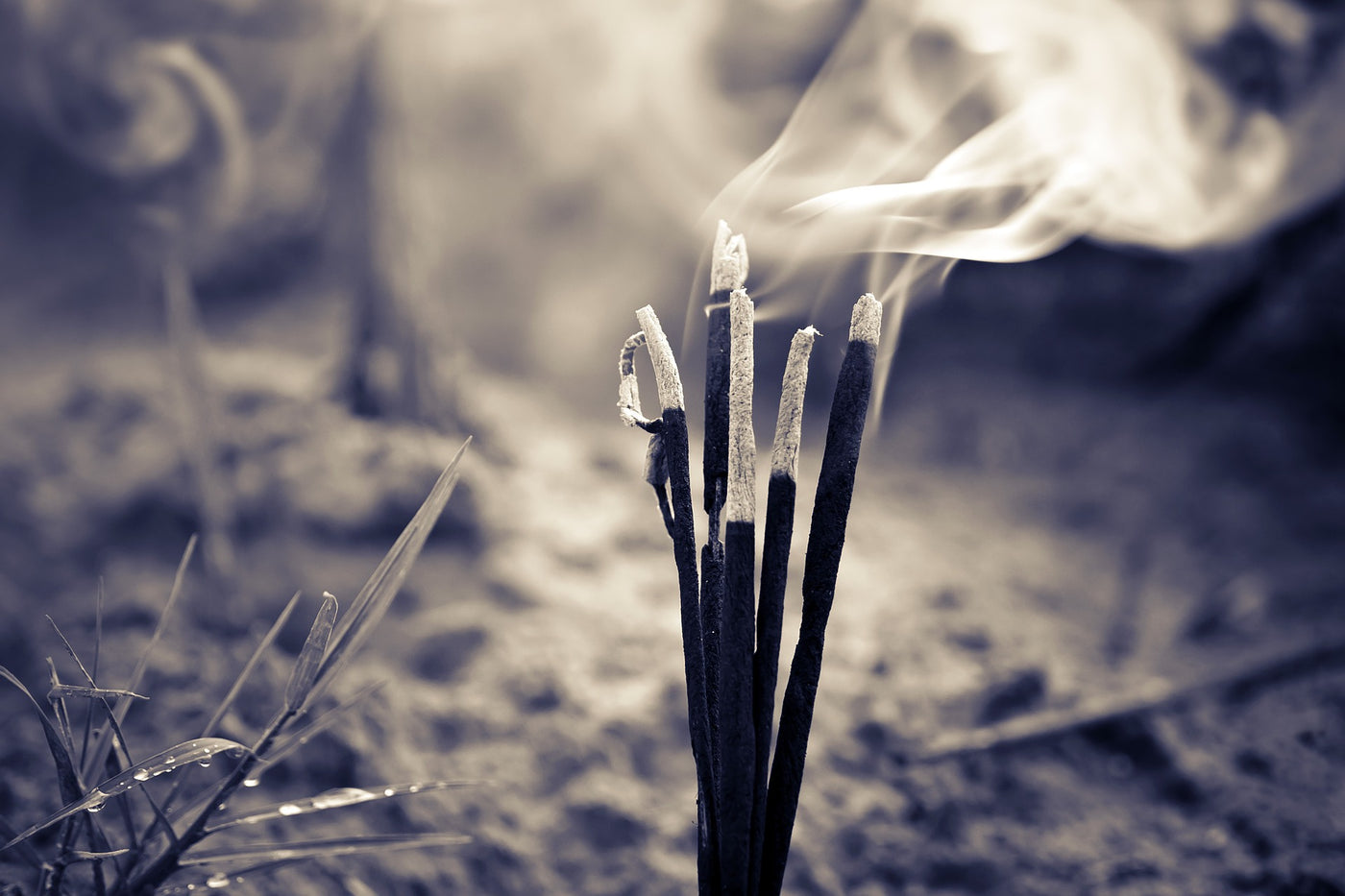 bien choisir son encens et sa bougie parfumée
