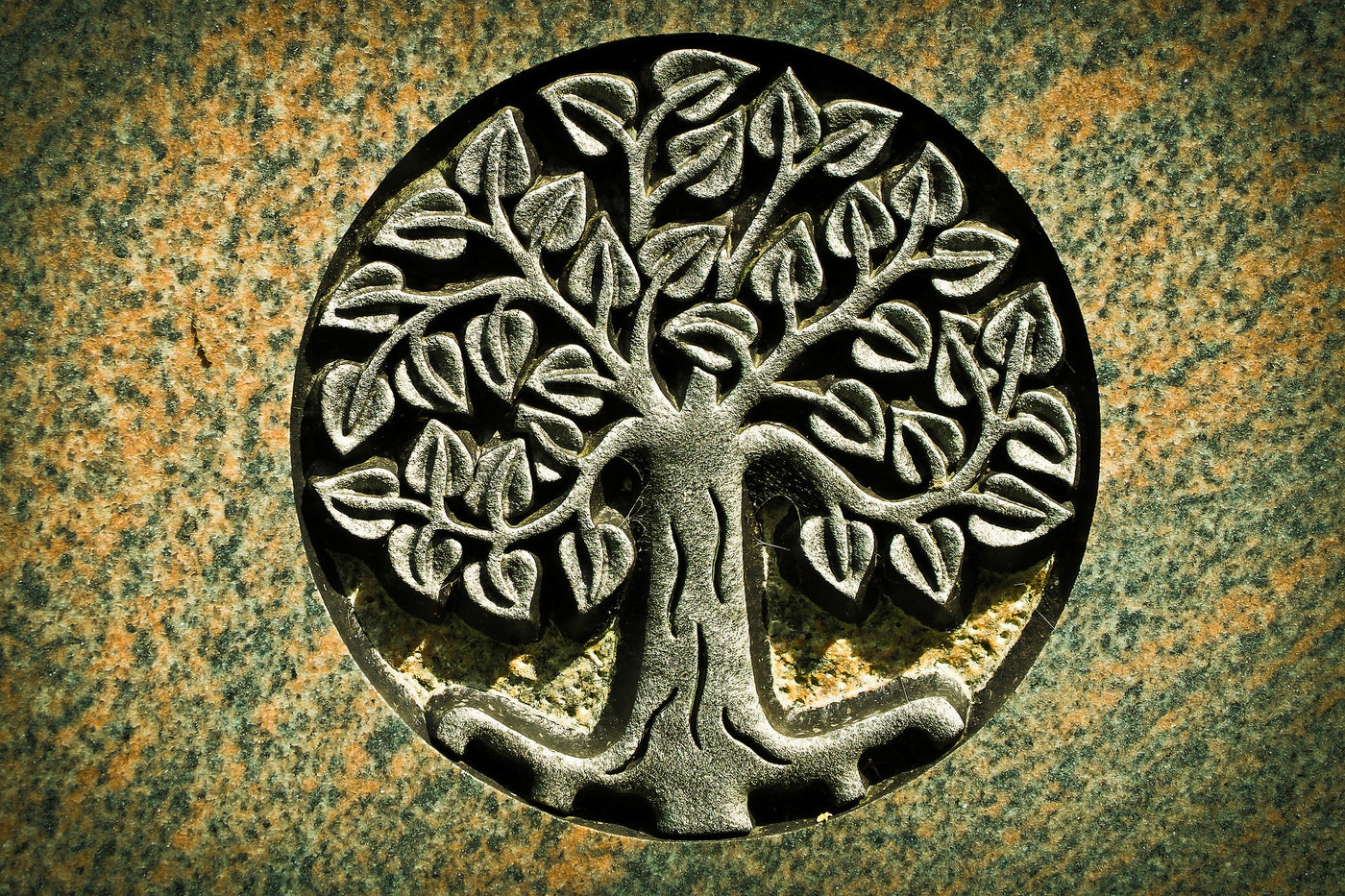 Que signifie l'arbre de vie ?